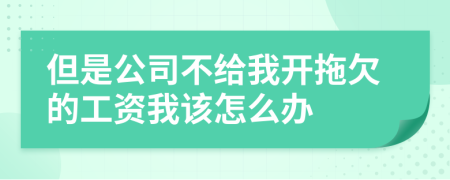 但是公司不给我开拖欠的工资我该怎么办