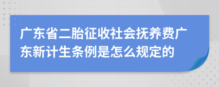 广东省二胎征收社会抚养费广东新计生条例是怎么规定的