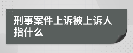 刑事案件上诉被上诉人指什么