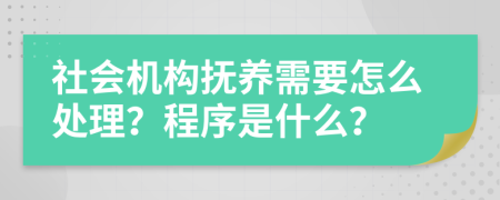 社会机构抚养需要怎么处理？程序是什么？