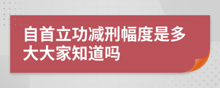 自首立功减刑幅度是多大大家知道吗