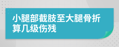 小腿部截肢至大腿骨折算几级伤残