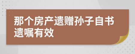 那个房产遗赠孙子自书遗嘱有效