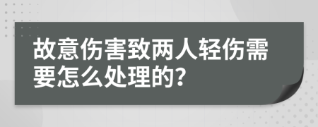 故意伤害致两人轻伤需要怎么处理的？