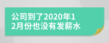 公司到了2020年12月份也没有发薪水