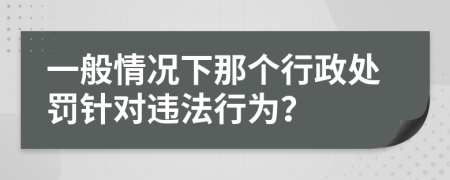 一般情况下那个行政处罚针对违法行为？