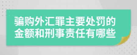 骗购外汇罪主要处罚的金额和刑事责任有哪些