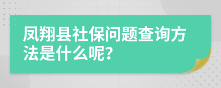 凤翔县社保问题查询方法是什么呢？