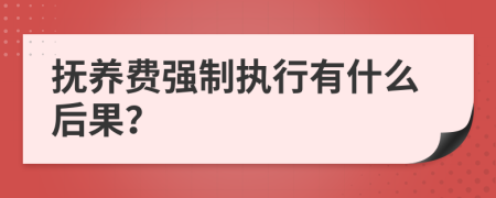 抚养费强制执行有什么后果？