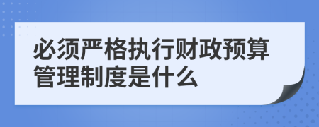 必须严格执行财政预算管理制度是什么
