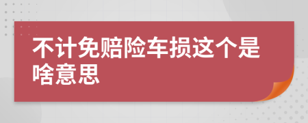 不计免赔险车损这个是啥意思