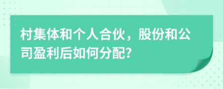 村集体和个人合伙，股份和公司盈利后如何分配？