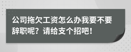 公司拖欠工资怎么办我要不要辞职呢？请给支个招吧！