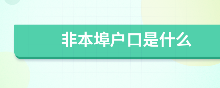 非本埠户口是什么