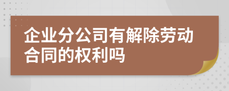 企业分公司有解除劳动合同的权利吗