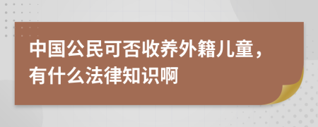 中国公民可否收养外籍儿童，有什么法律知识啊