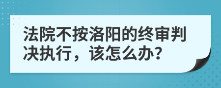 法院不按洛阳的终审判决执行，该怎么办？