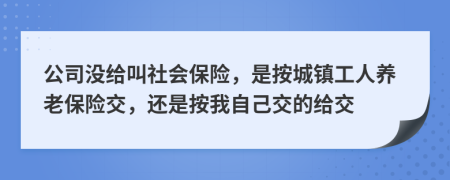 公司没给叫社会保险，是按城镇工人养老保险交，还是按我自己交的给交