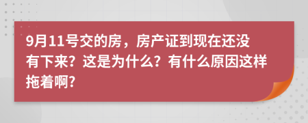 9月11号交的房，房产证到现在还没有下来？这是为什么？有什么原因这样拖着啊?