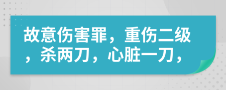 故意伤害罪，重伤二级，杀两刀，心脏一刀，