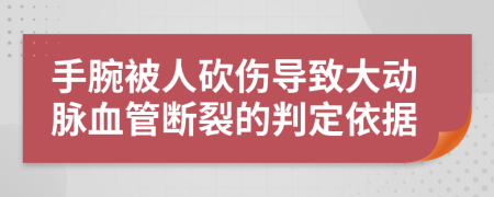 手腕被人砍伤导致大动脉血管断裂的判定依据