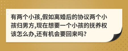 有两个小孩,假如离婚后的协议两个小孩归男方,现在想要一个小孩的抚养权该怎么办,还有机会要回来吗？