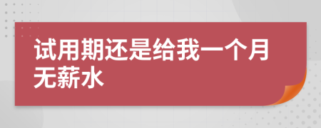试用期还是给我一个月无薪水