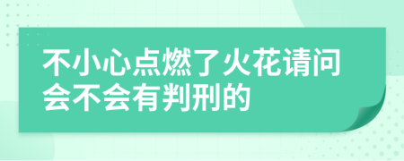 不小心点燃了火花请问会不会有判刑的