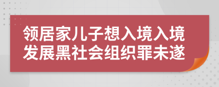 领居家儿子想入境入境发展黑社会组织罪未遂