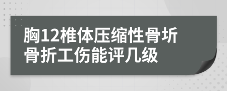 胸12椎体压缩性骨圻骨折工伤能评几级