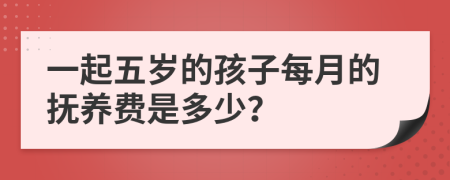 一起五岁的孩子每月的抚养费是多少？