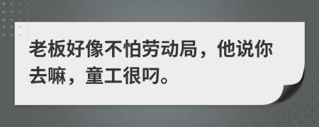 老板好像不怕劳动局，他说你去嘛，童工很叼。