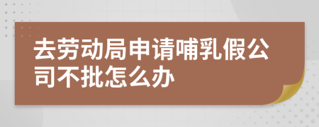 去劳动局申请哺乳假公司不批怎么办