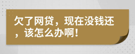 欠了网贷，现在没钱还，该怎么办啊！