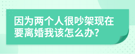 因为两个人很吵架现在要离婚我该怎么办？