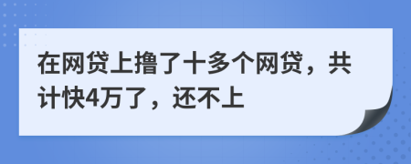 在网贷上撸了十多个网贷，共计快4万了，还不上