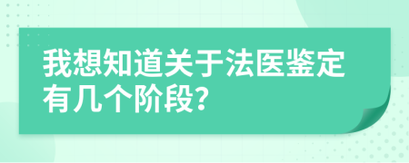 我想知道关于法医鉴定有几个阶段？