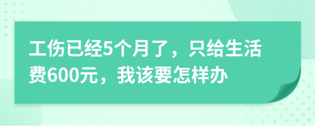 工伤已经5个月了，只给生活费600元，我该要怎样办