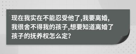 现在我实在不能忍受他了,我要离婚,我很舍不得我的孩子,想要知道离婚了孩子的抚养权怎么定？