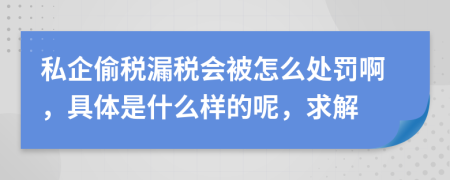 私企偷税漏税会被怎么处罚啊，具体是什么样的呢，求解