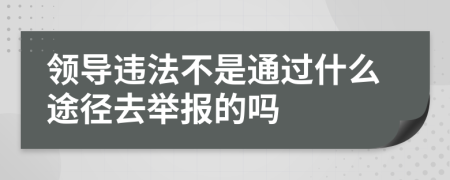 领导违法不是通过什么途径去举报的吗