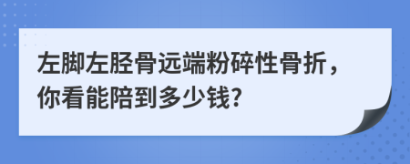 左脚左胫骨远端粉碎性骨折，你看能陪到多少钱?