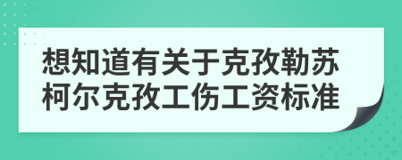 想知道有关于克孜勒苏柯尔克孜工伤工资标准