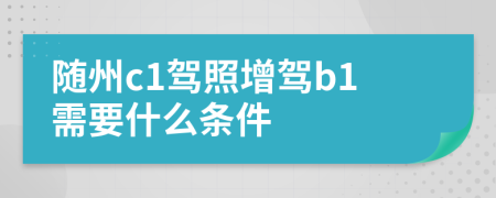 随州c1驾照增驾b1需要什么条件