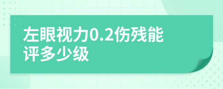 左眼视力0.2伤残能评多少级