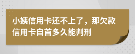 小姨信用卡还不上了，那欠款信用卡自首多久能判刑