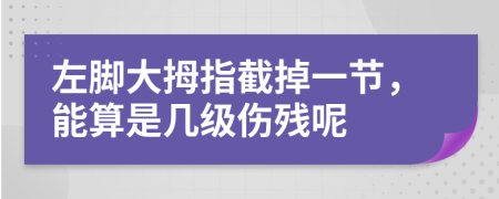 左脚大拇指截掉一节，能算是几级伤残呢