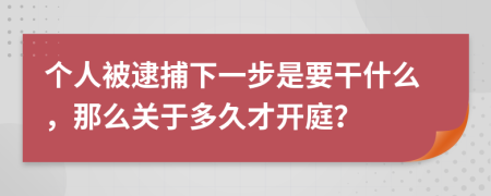 个人被逮捕下一步是要干什么，那么关于多久才开庭？