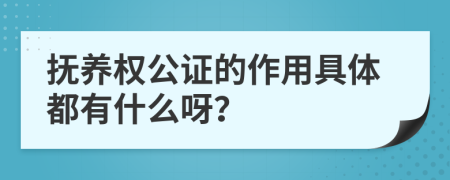 抚养权公证的作用具体都有什么呀？