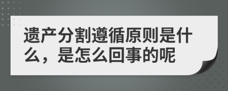 遗产分割遵循原则是什么，是怎么回事的呢